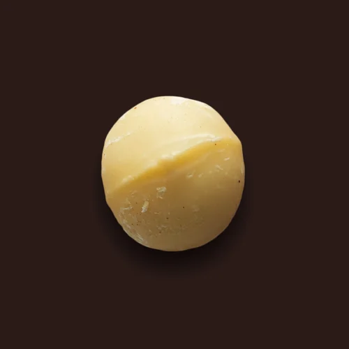 Sacchetti-e-Calzoni-Torrefazione-Frutta-Secca-24-Macadamia-Sgusciata-Naturale-Style-1