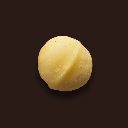 Sacchetti-e-Calzoni-Torrefazione-Frutta-Secca-25-Macadamia-Sgusciata-Tostata-Salata-Style-1